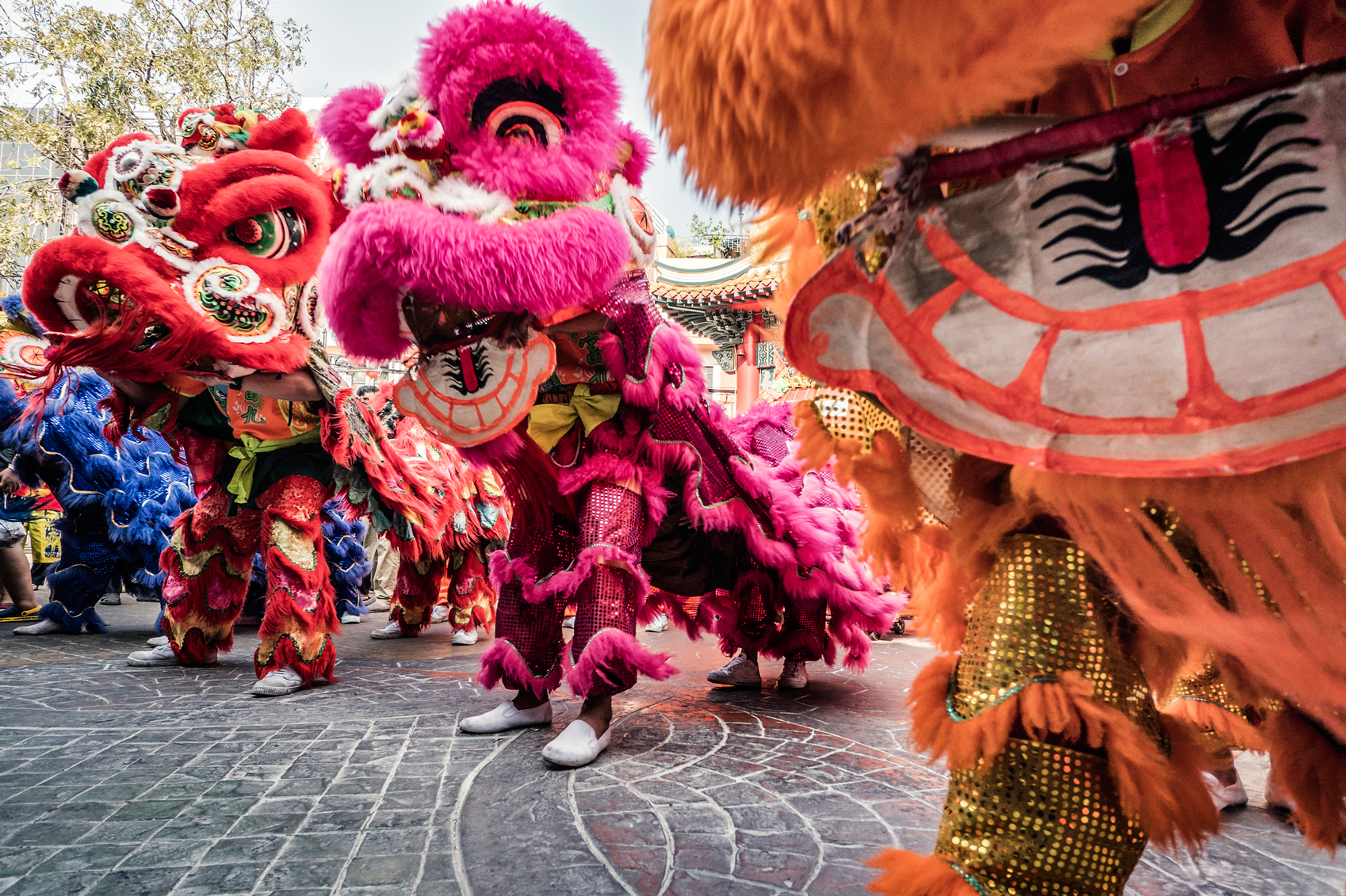 Chinese New Year celebrations in China Town