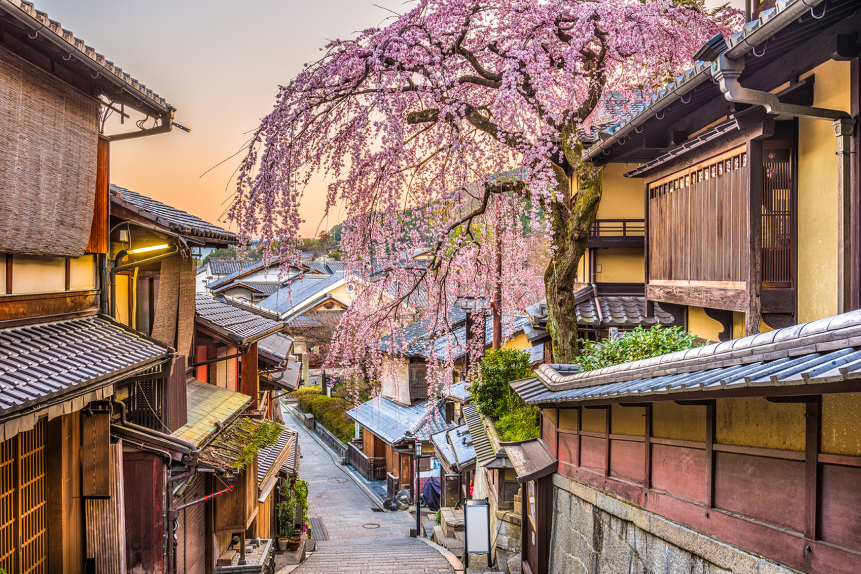 colourful festivals Kyoto-www.istockphoto.comgbphotokyoto-japan-in-spring-gm902966276-249052241-Sean-Pavone
