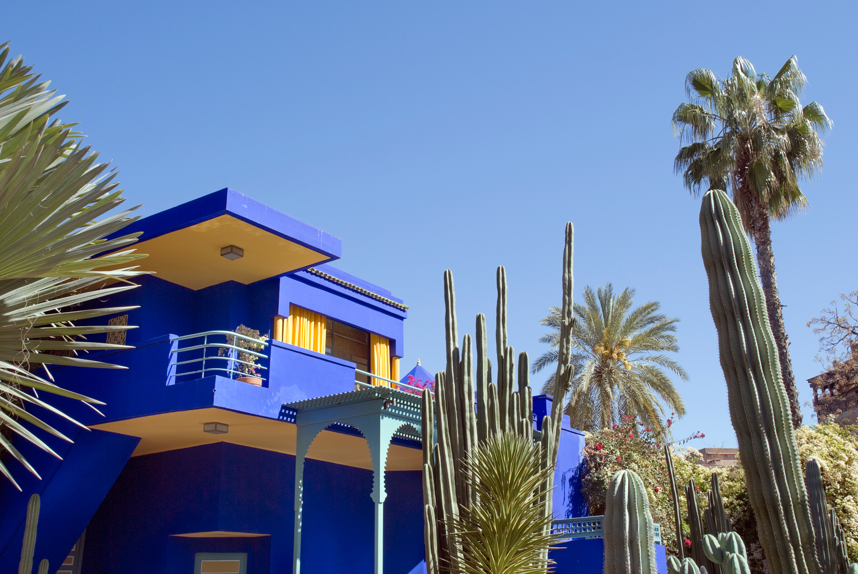 24 Hours in Marrakech Majorelle-www.istockphoto.comgbphotojardin-majorelle-gm183890173-16419332FrankvandenBerg