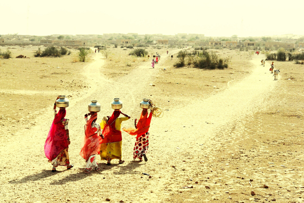 Rajasthan - MetoWe