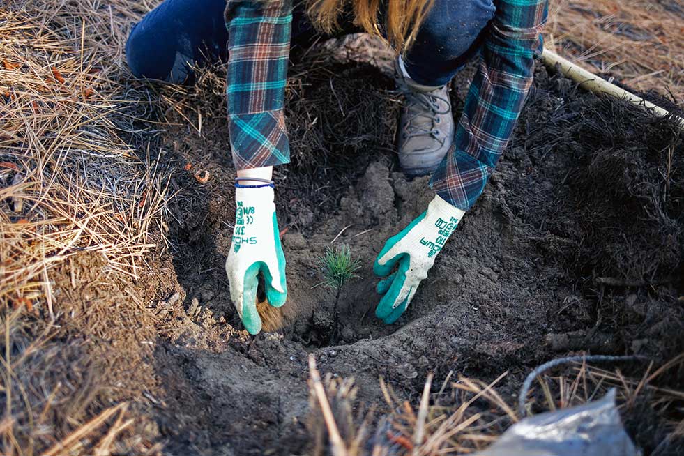 One Tree Planted girl planting tree sapling