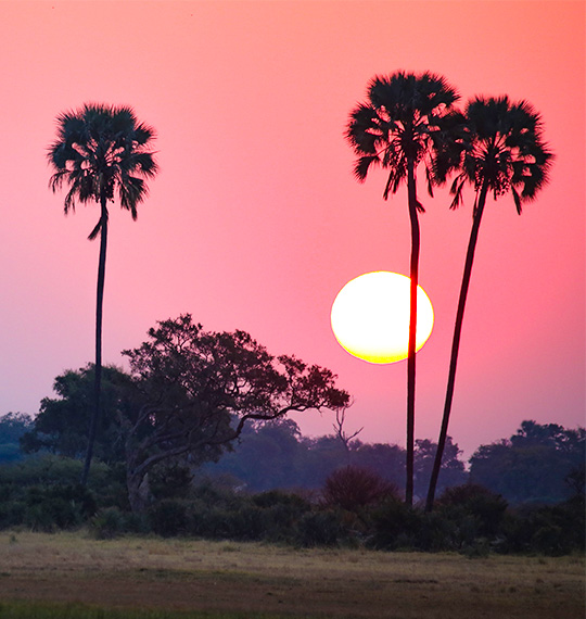 Africa sunset