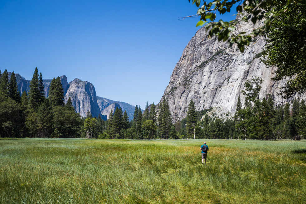 back in touch with nature when you travel