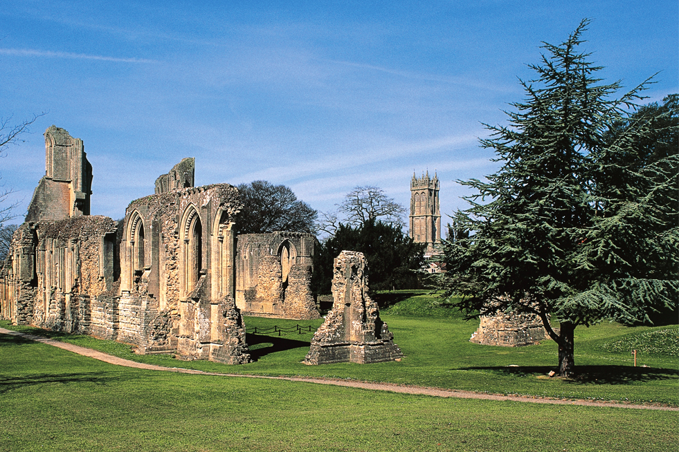 An unusual sight in England - a tree standing tall in a grassy field near Glastonbury Abbey.