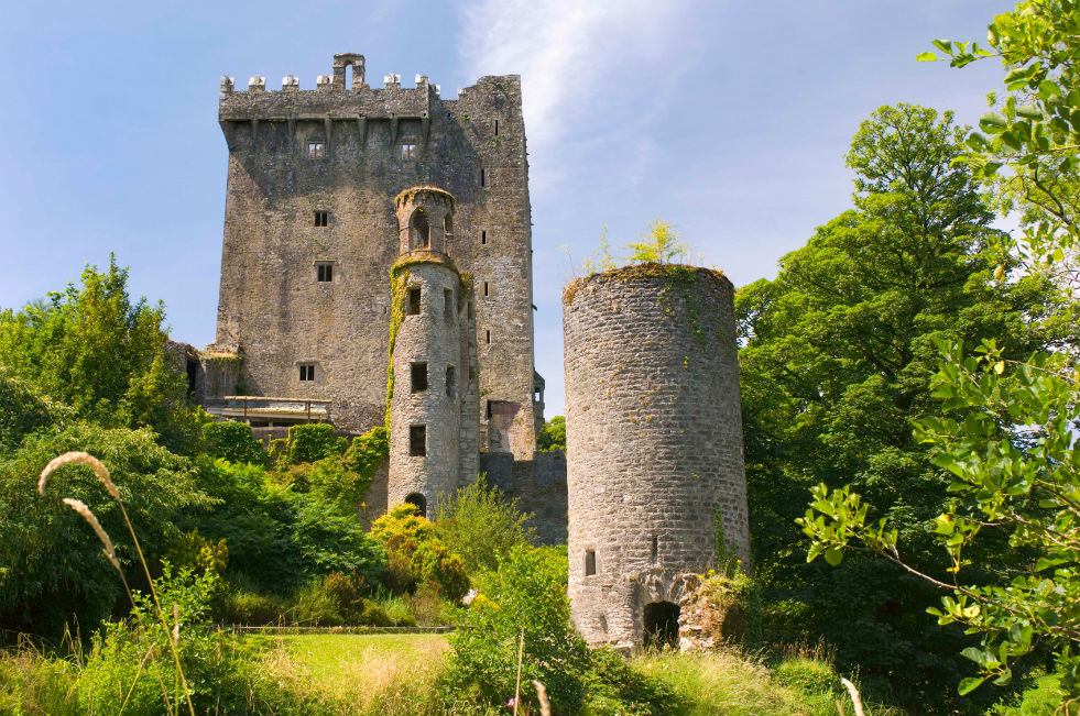 Blarney castle nestled in trees, one of the best castles to visit in ireland