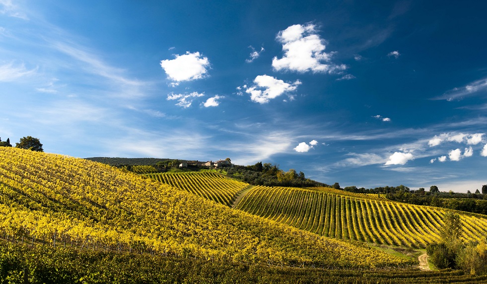 Sasha Rojnik TD - Tuscany, Italy