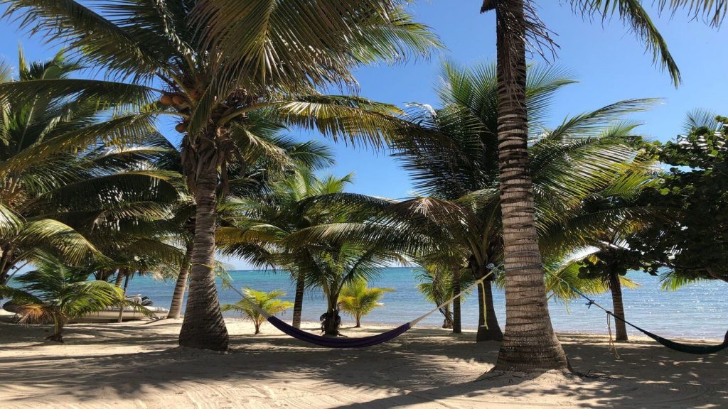 hammock palm tree beach Akumal Mexico