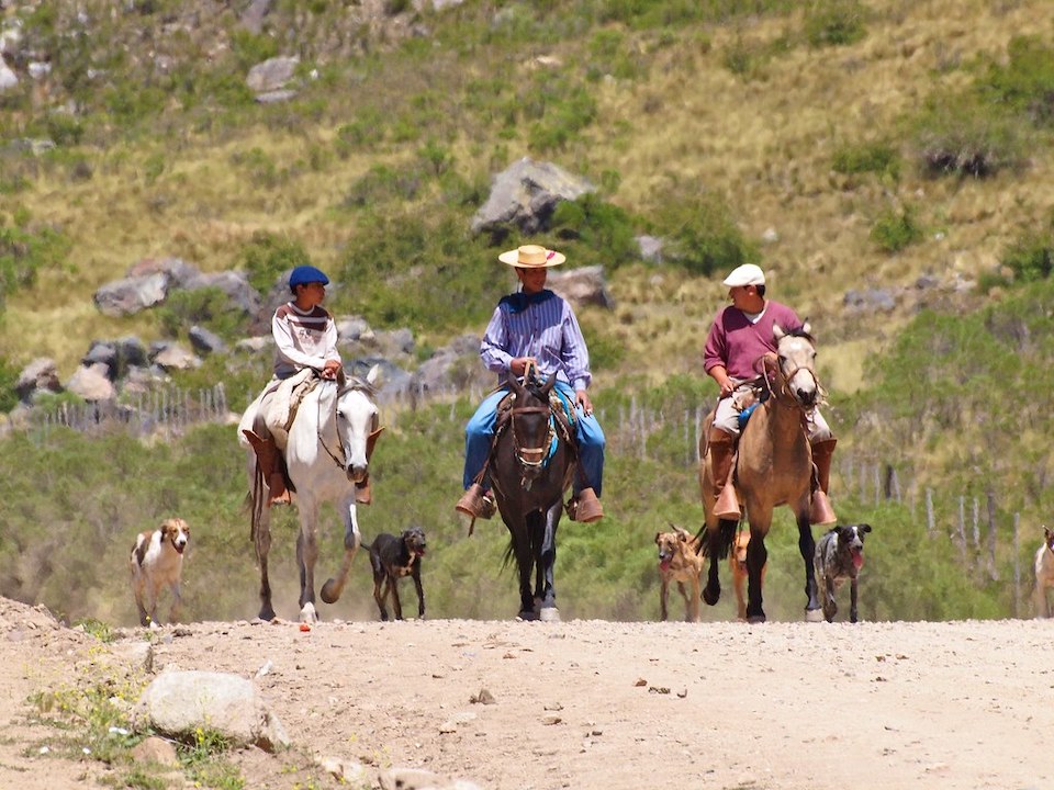 gauchos riding horses in argentina