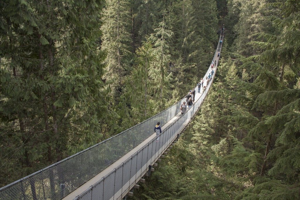capilano suspension bridge, canada