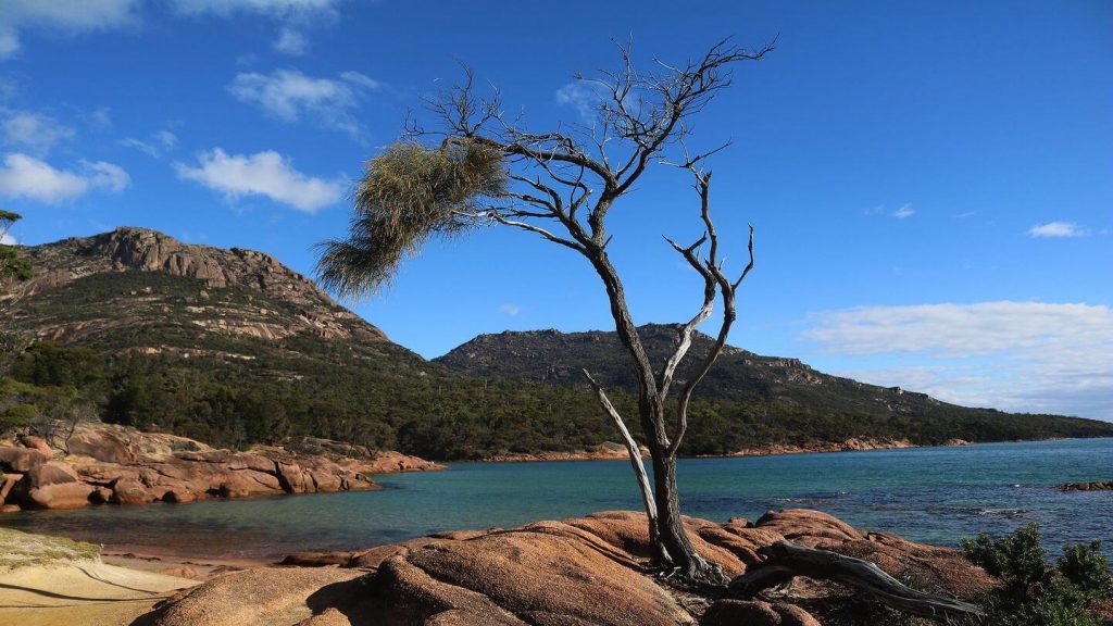 nature Freycinet National Park Tasmania