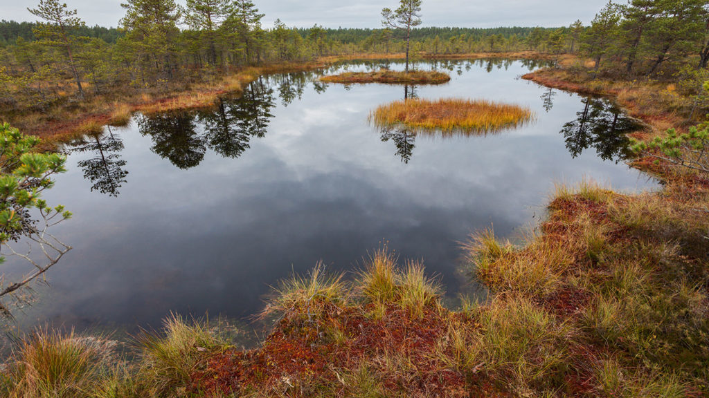 Open water in Lahemaa National Park