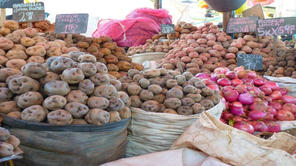 different Peruvian potato varieties Peru market