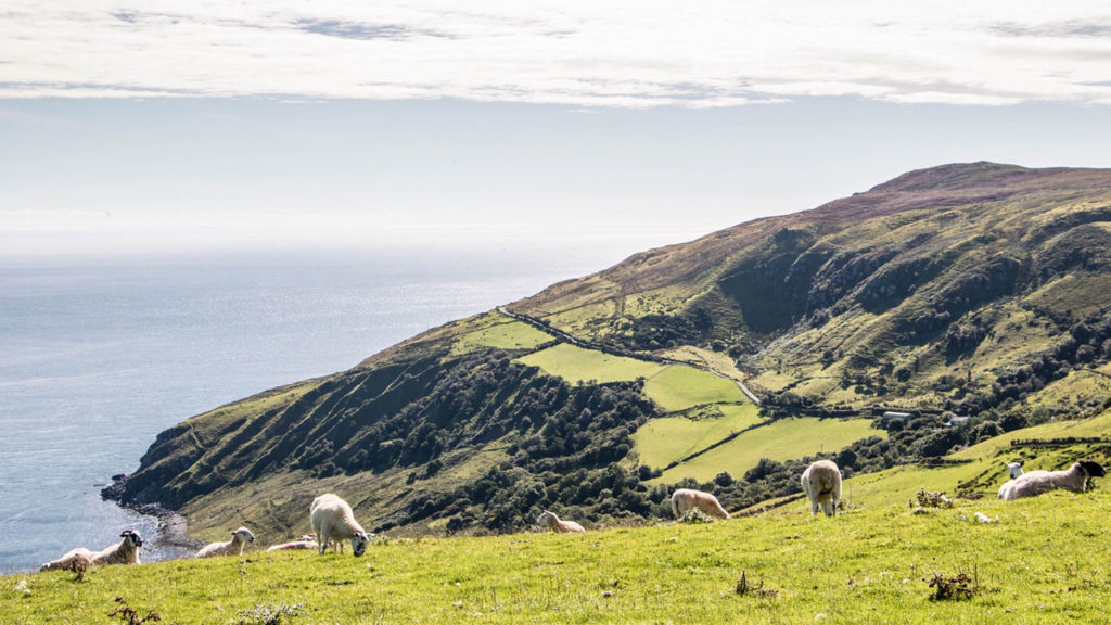 Northern Ireland Scenery on Belfast travel guide