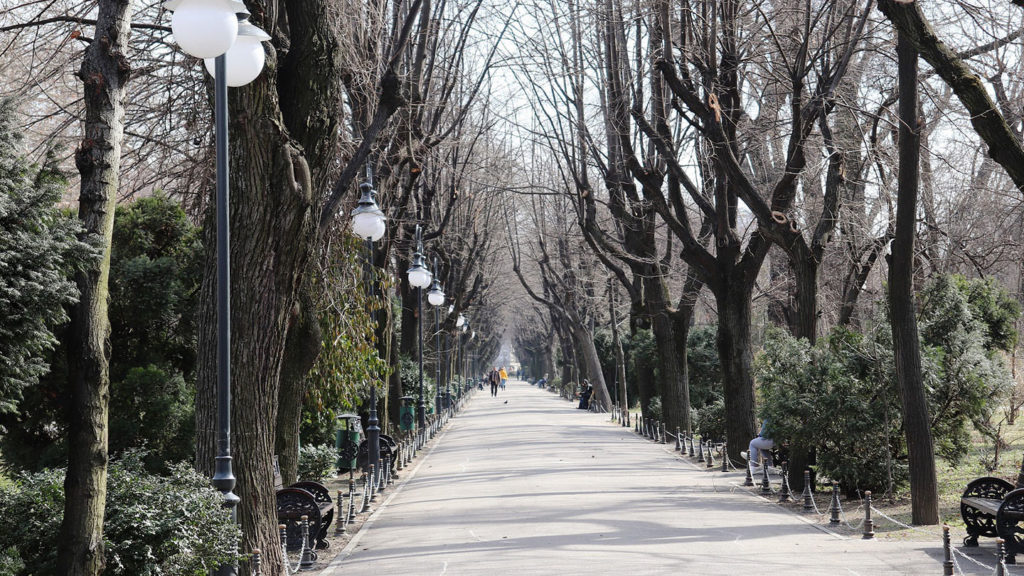 Park In Bucharest
