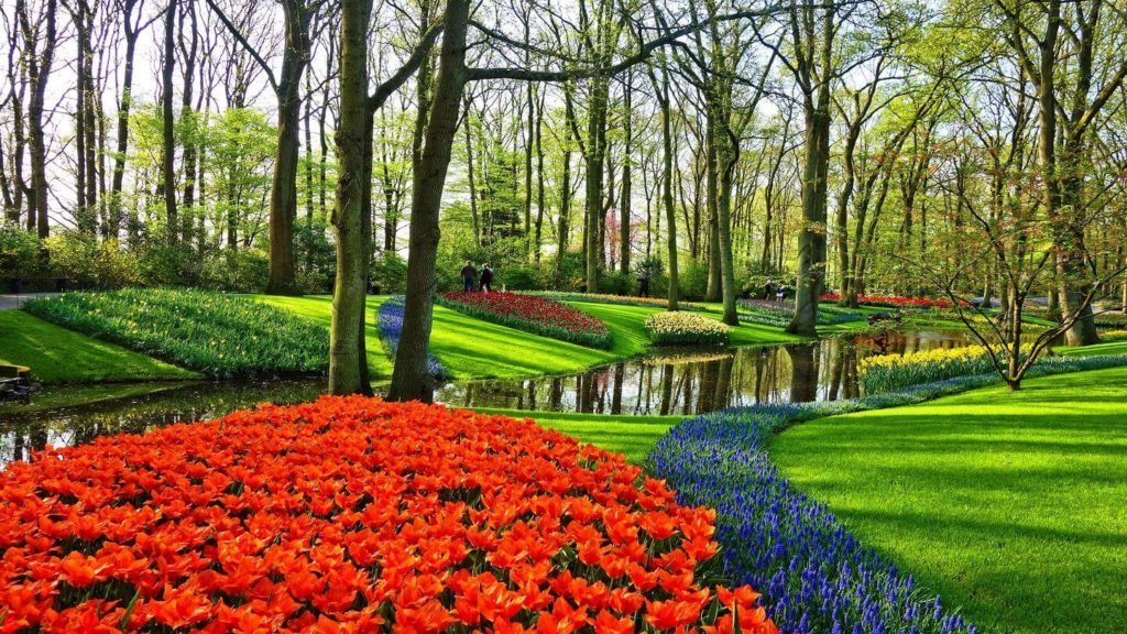 tulip garden keukenhof netherlands travel dream list