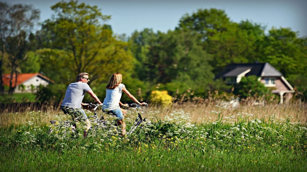 couple cycling through flower fields