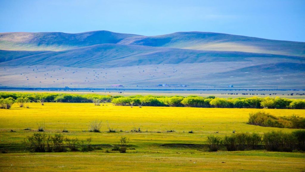 Hulunbuir grasslands Mongolia zoom quizzes