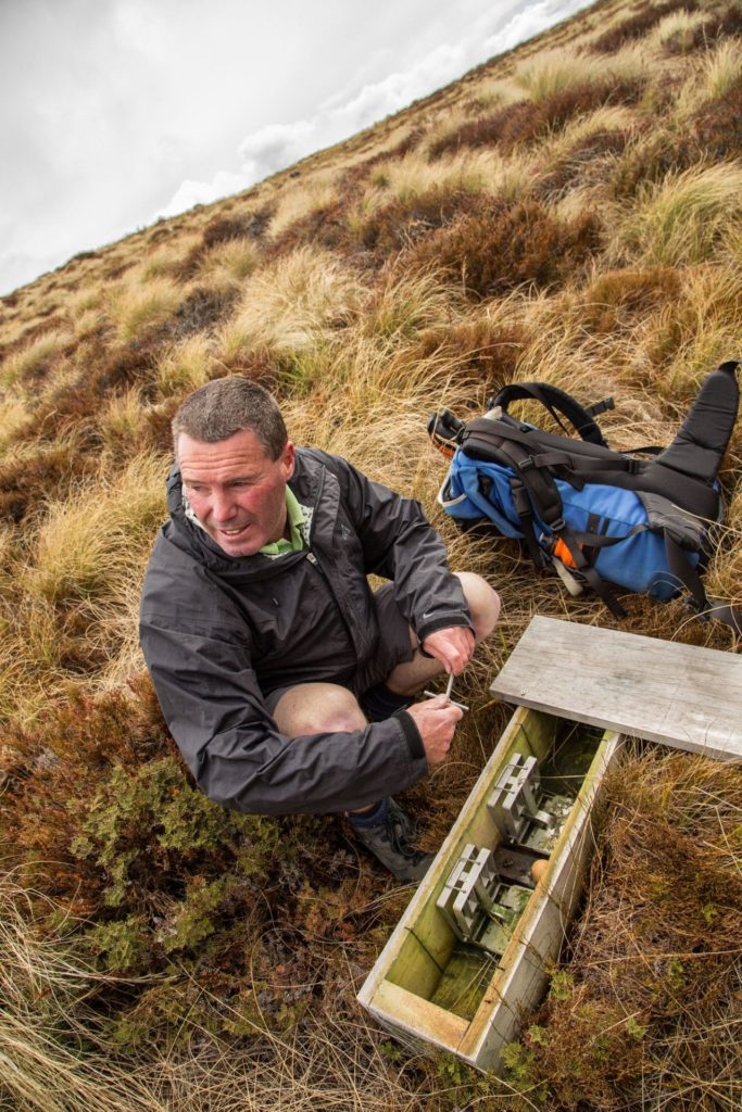 Steve from Trips & Tramps