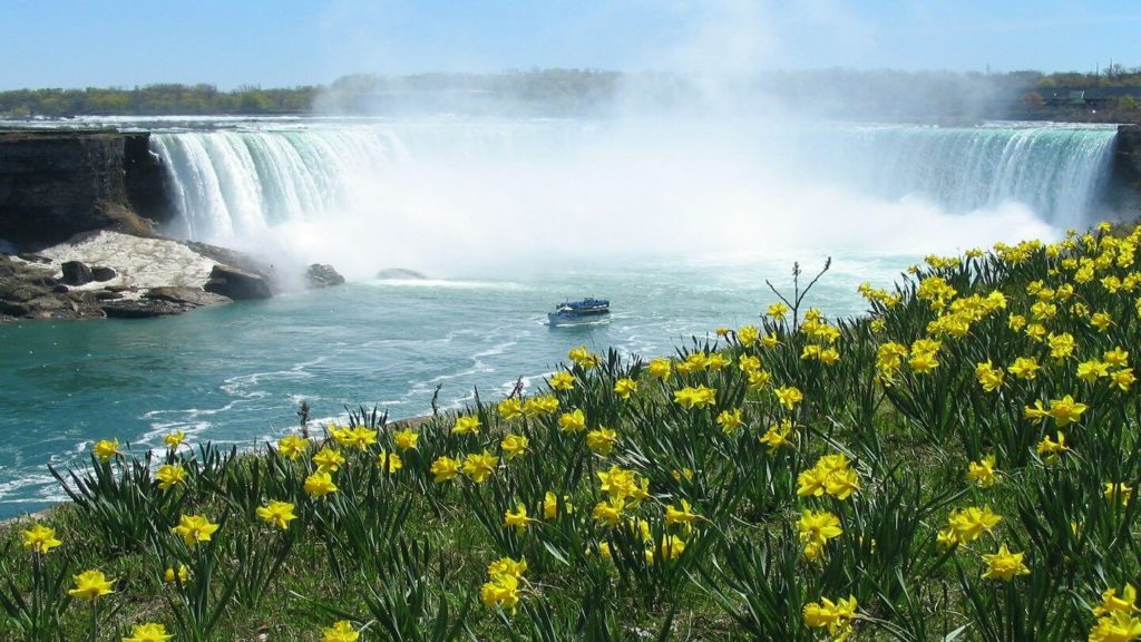 wildflowers Niagara Falls USA Canada land border