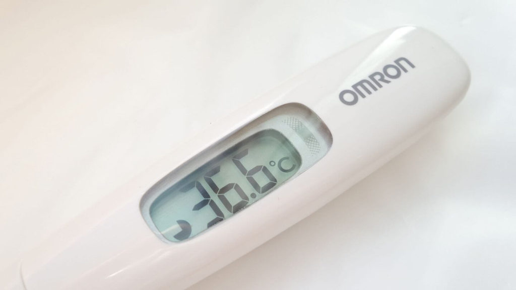 fever thermometer travel hygiene kit