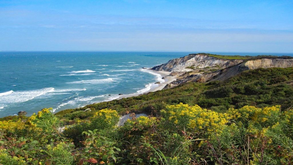 A cliff overlooking the ocean and yellow flowers is a must-see on any USA travel bucket list.