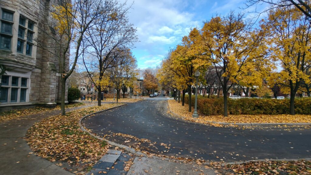 Montreal neighborhood