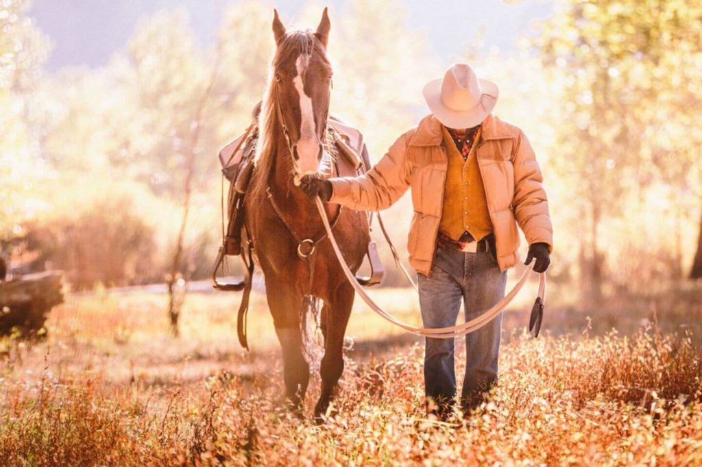 cowboy and his horse Montana large family holidays