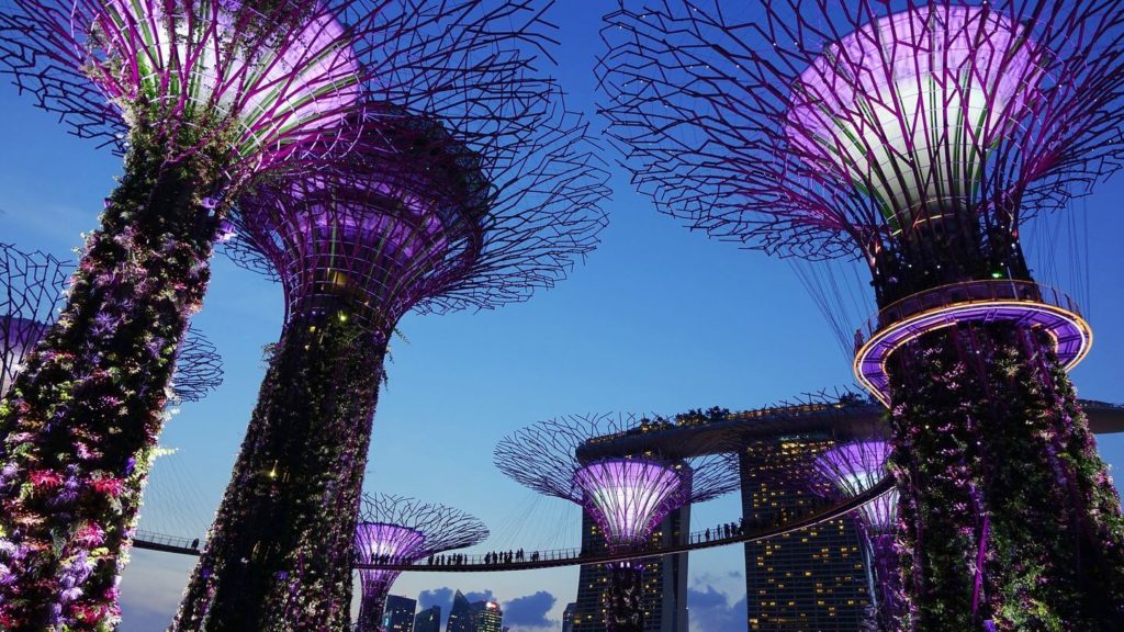 Gardens by the Bay illuminated at night Singapore Asia bucket list