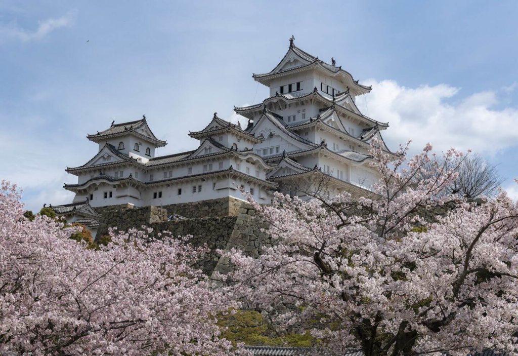 Himeji Castle surrounded by cherry blossoms Japan