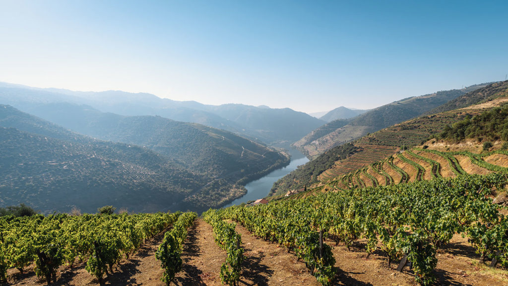 Douro Valley, Portugal