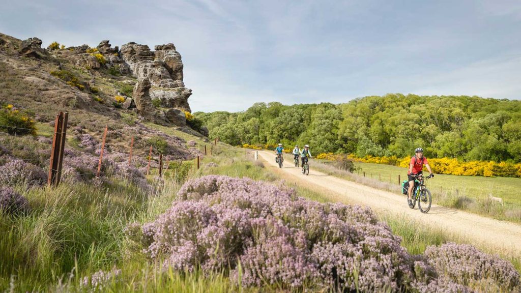 Cyclists on a dirt track in New Zealand.