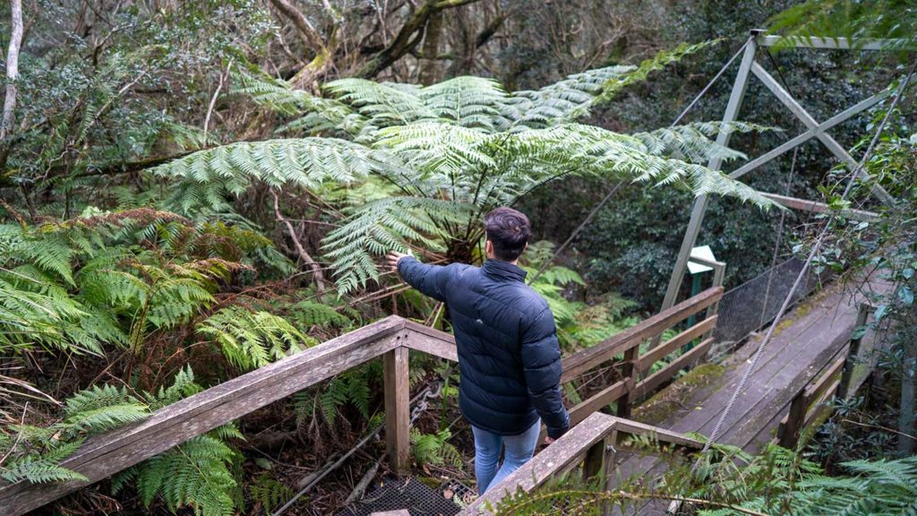 Exploring nature in Victoria, Australia