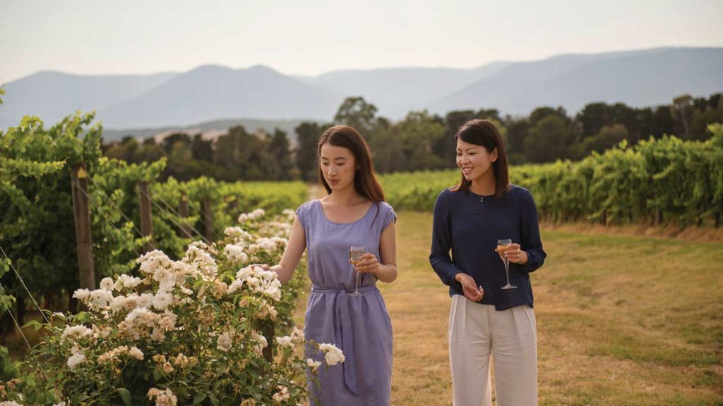 Winery in Victoria, Australia