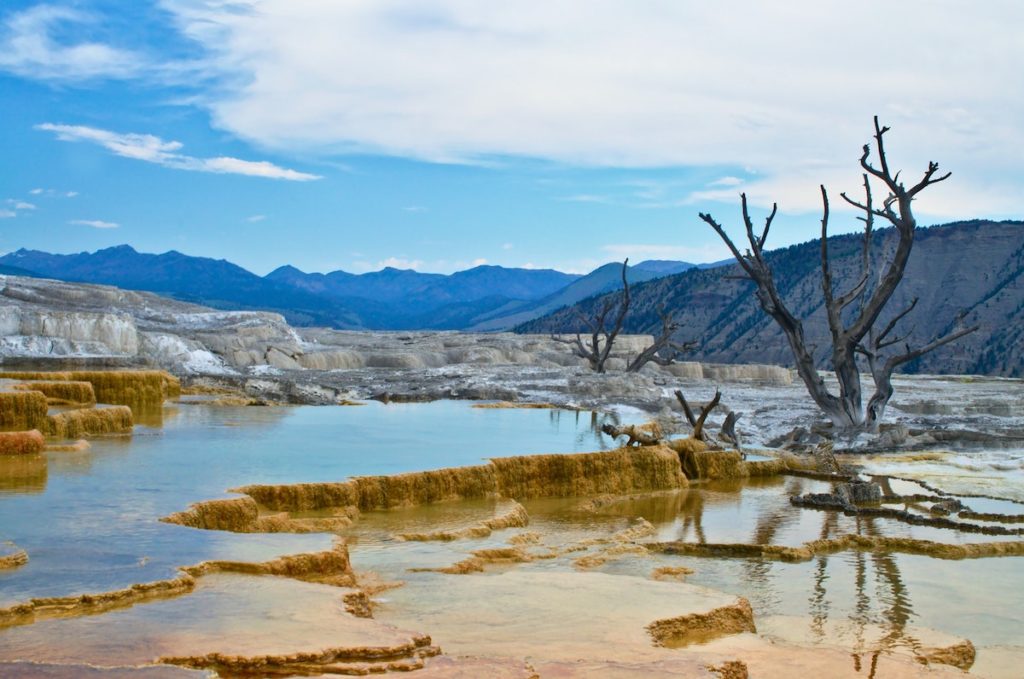 Yellowstone Mammoth Hot Springs
