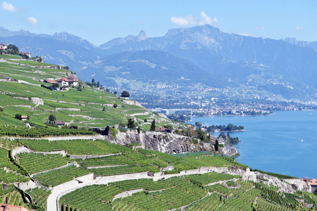 Lavaux Vinorama in canton Vaud, Switzerland. photo: @alltheswissthings