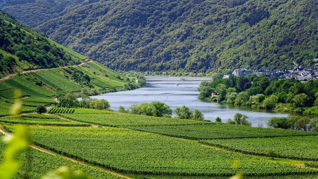 quarantine-free Moselle river