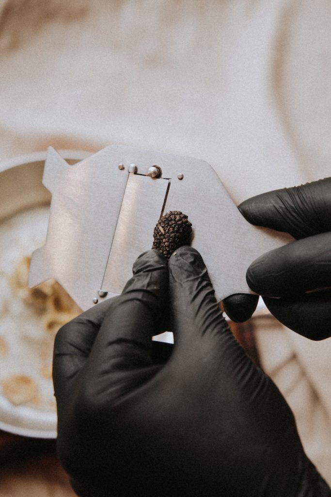 Truffle hunt quarantine-free
