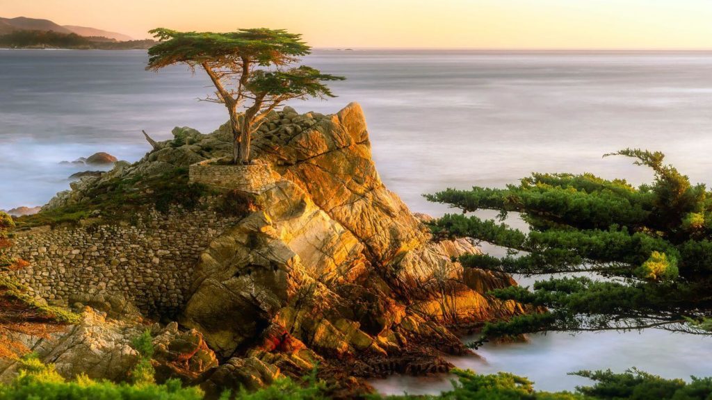 Lone cypress tree standing on a rocky outcrop at sunset with the ocean in the background is a must-see when planning what to do in Northern California.