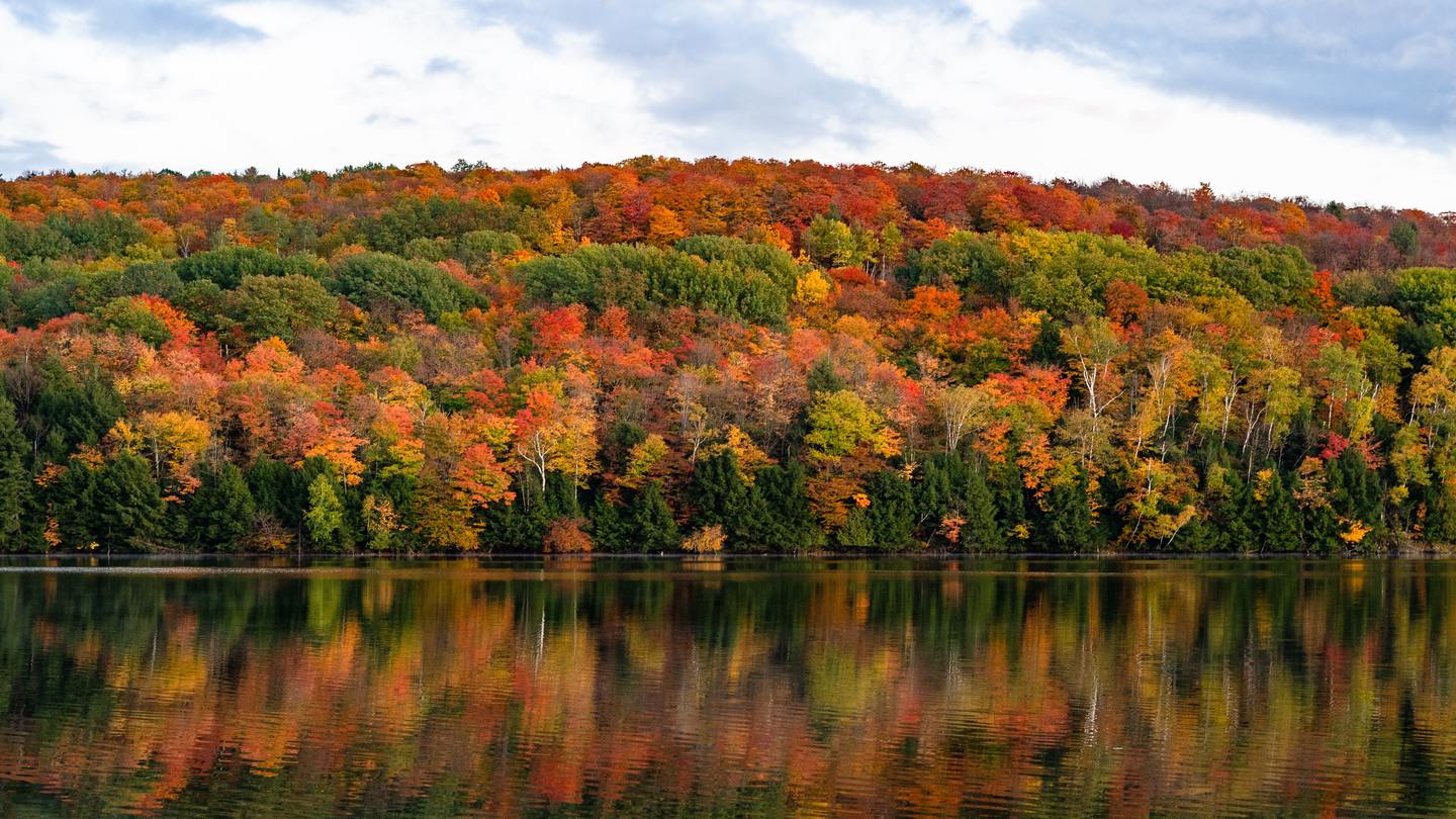 Fall foliage in New England, USA