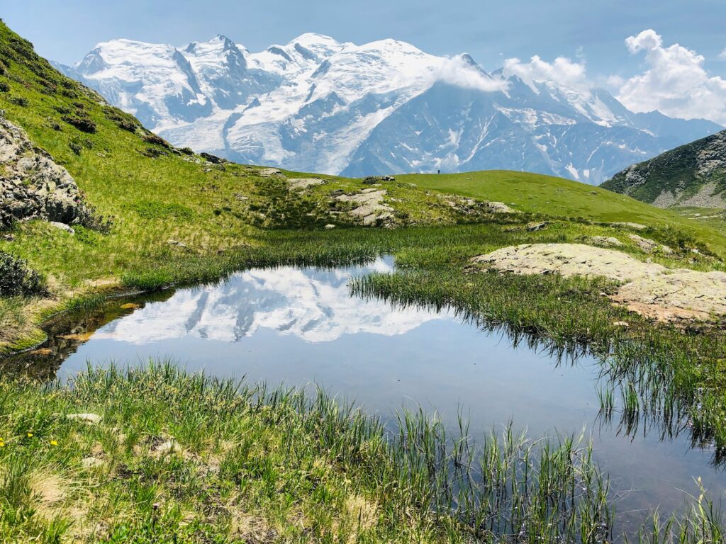 Alpine meadow with a pond, snow-covered mountain peaks in the background