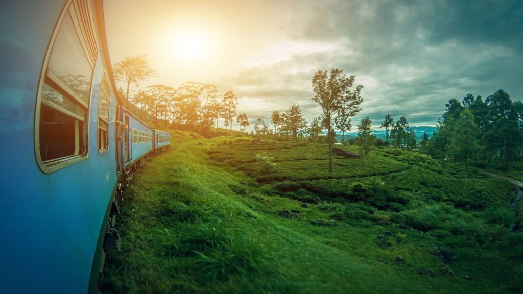 train through green tea plantations Ella Sri Lanka