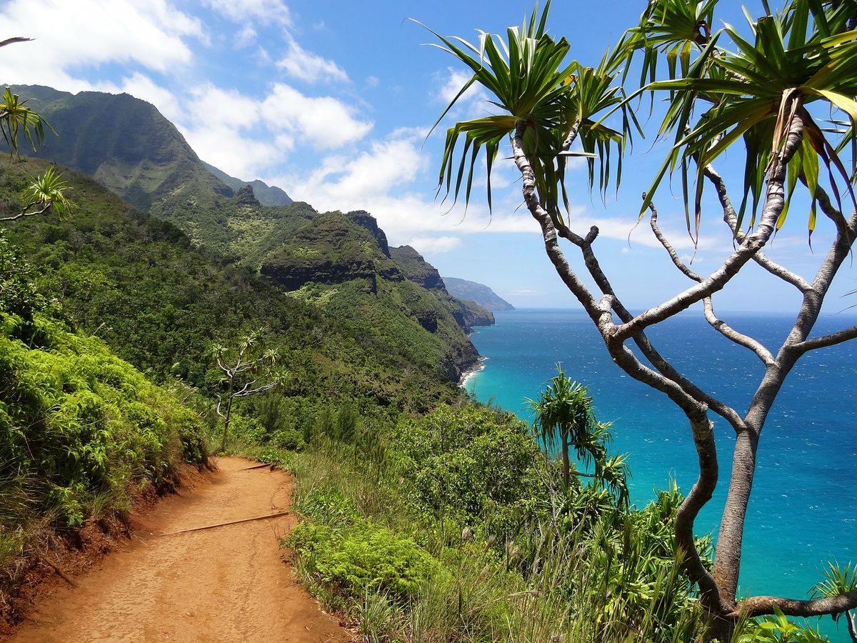 Best Time to Visit Hawaii - Real Word - Trafalgar Tours