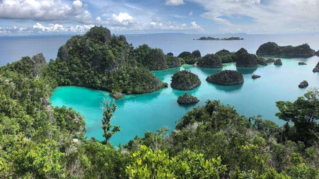 emerald water forest islands Raja Ampat Islands Indonesia