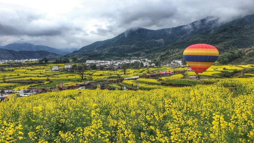 yellow flower fields mountains hot air balloon Wuyuan China
