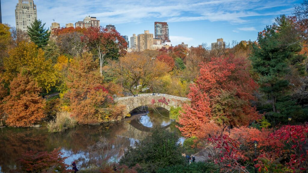 Central Park in the fall