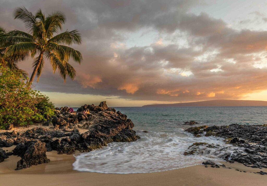 Hawaii beach, palm tree on the left with rocks underneath. This is a family Christmas vacation ideas