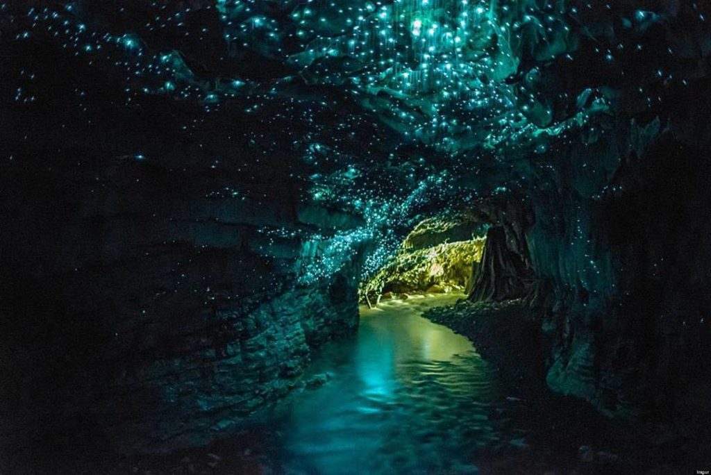 glow worm caves New Zealand