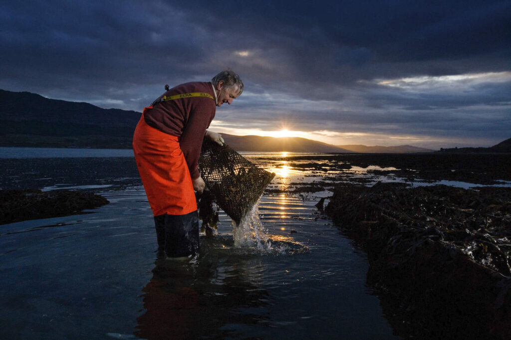 Fisherman farming Oysters/Mussels