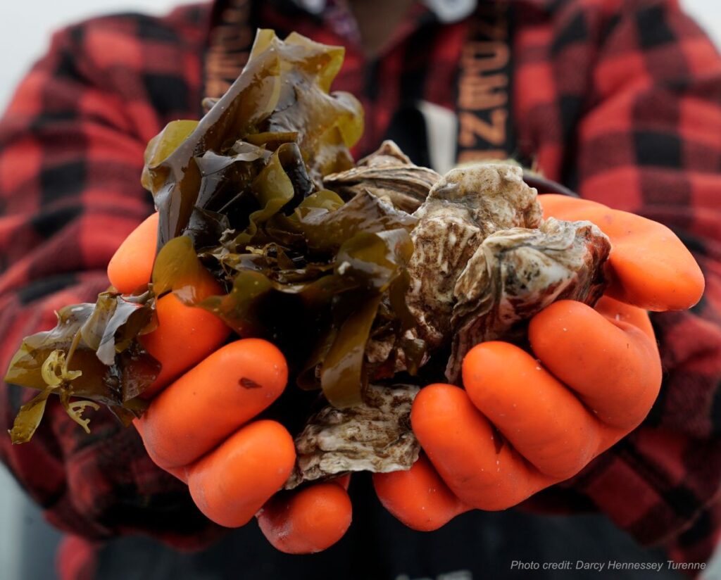 gloved hands holding kelp harnessing the earth’s natural resources