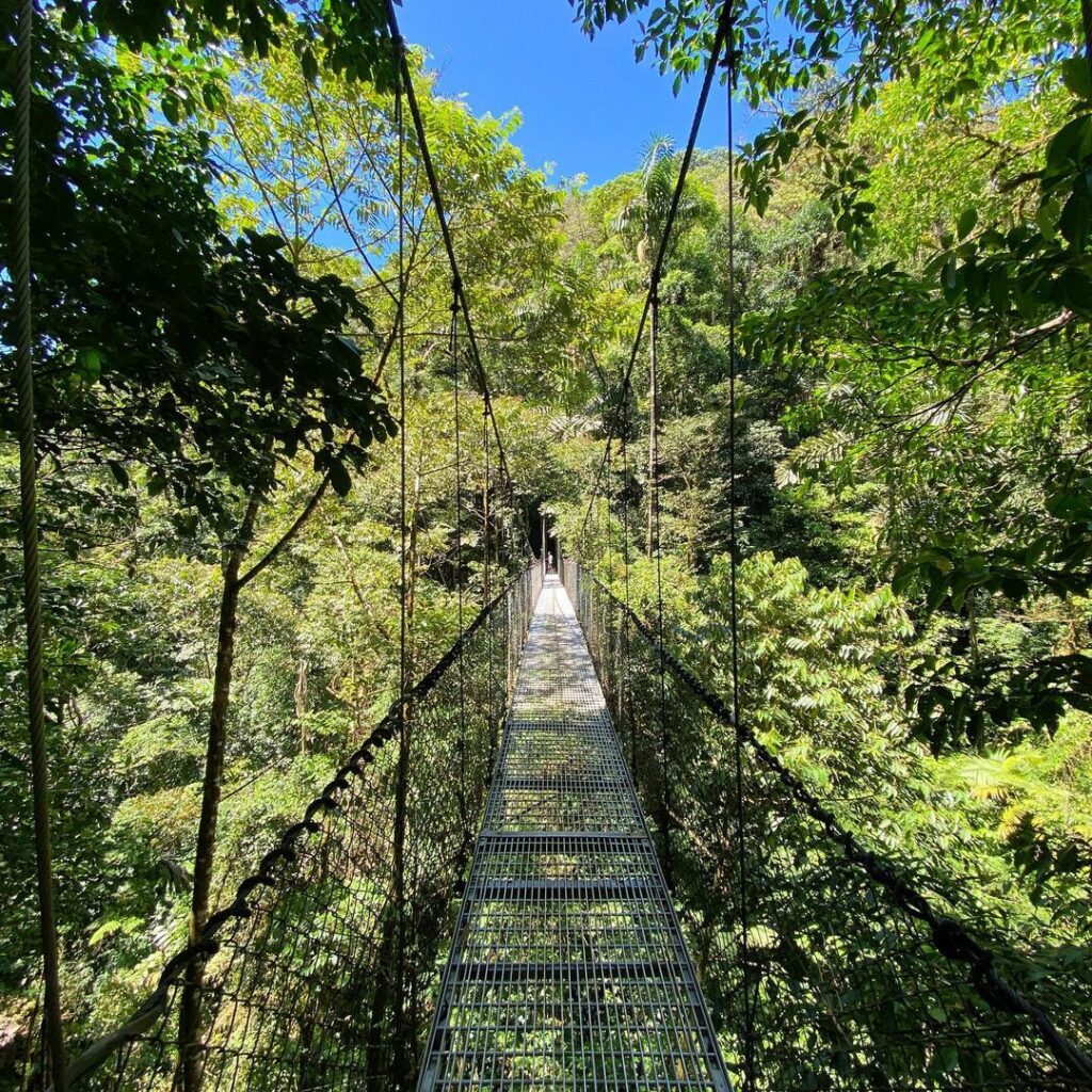 Costa Rica hanging bridges